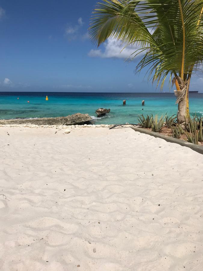 Bonaire Boutique Resort 克拉伦代克 外观 照片