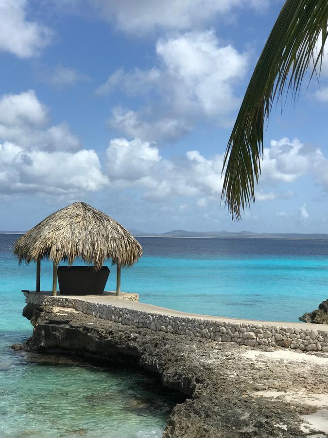 Bonaire Boutique Resort 克拉伦代克 外观 照片